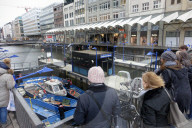 FEATURE - Hamburg: Alsterschwäne kommen ins Winterquartier