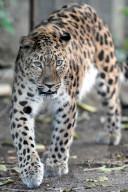 FEATURE - Pix of the Day: Bilder des Tages