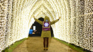 FEATURE - Weihnachtsbeleuchtung im Kew Garden's in Richmond