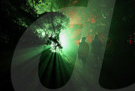 FEATURE - Pix of the Day: Bilder des Tages