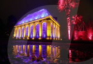 FEATURE - Pix of the Day: Bilder des Tages