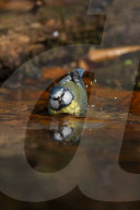 FEATURE - Pix of the Day: Bilder des Tages