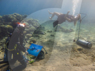 FEATURE - Taucherin zeichnet unter Wasser