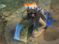 FEATURE - Taucherin zeichnet unter Wasser