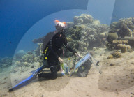 FEATURE - Taucherin zeichnet unter Wasser