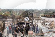 FEATURE - Pix of the Day: Bilder des Tages