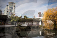 FEATURE - Pix of the Day: Bilder des Tages