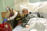 FEATURE - Weihnachts Therapie Esel in Leicestershire