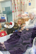 FEATURE - Weihnachts Therapie Esel in Leicestershire