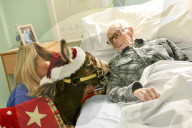FEATURE - Weihnachts Therapie Esel in Leicestershire