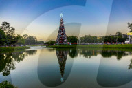 FEATURE - Pix of the Day: Bilder des Tages