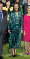 PEOPLE - Königin Letizia stylish in Grün am AFAMMER Kongress in Madrid