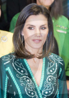 PEOPLE - Königin Letizia stylish in Grün am AFAMMER Kongress in Madrid