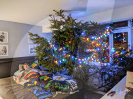 FEATURE - Pix of the Day: Bilder des Tages