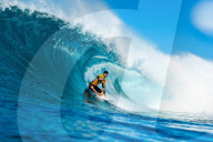 FEATURE - Pix of the Day: Bilder des Tages