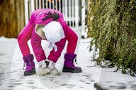 FEATURE - Pix of the Day: Bilder des Tages