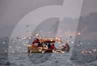 FEATURE - Pix of the Day: Bilder des Tages