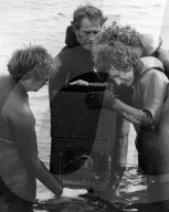 Archival Cinema and Entertainment