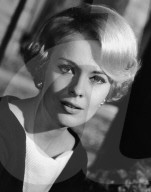 Archival Cinema and Entertainment