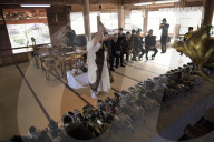 FEATURE - Pix of the Day: Bilder des Tages