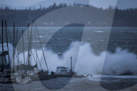 FEATURE - Pix of the day: Bilder des Tages