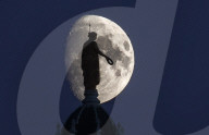 FEATURE - Pix of the Day: Bilder des Tages