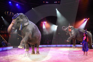 PEOPLE - Circus Krone Weihnachtspremiere in München