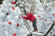 FEATURE - Pix of the Day: Bilder des Tages