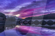 FEATURE - Pix of the Day: Bilder des Tages