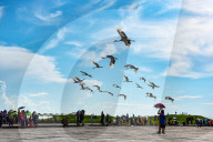 FEATURE - Pix of the Day: Bilder des Tages