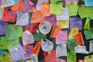 FEATURE - Pix of the Day: Bilder des Tages