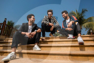 PORTRAIT - Bollywood Schauspieler Vicky Kaushal, Rajkummar Rao und Kartik Aaryan 