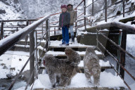 FEATURE - Wellness Affen im Jigokudani Monkey Park bei Nagano
