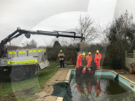 FEATURE - Die Feuerwehr rettet 'See-Pferdchen' aus einem Swimming-Pool 