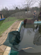 FEATURE - Die Feuerwehr rettet 'See-Pferdchen' aus einem Swimming-Pool 