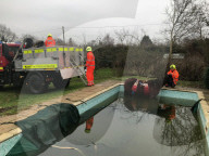 FEATURE - Die Feuerwehr rettet 'See-Pferdchen' aus einem Swimming-Pool 