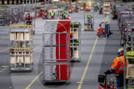REPORTAGE - Blumen aus Holland: Royal FloraHolland in Aalsmeer