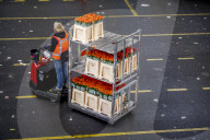 REPORTAGE - Blumen aus Holland: Royal FloraHolland in Aalsmeer