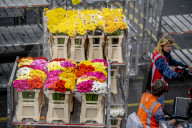 REPORTAGE - Blumen aus Holland: Royal FloraHolland in Aalsmeer