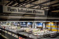 REPORTAGE - Blumen aus Holland: Royal FloraHolland in Aalsmeer