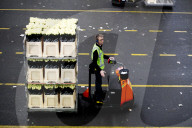 REPORTAGE - Blumen aus Holland: Royal FloraHolland in Aalsmeer