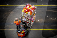 REPORTAGE - Blumen aus Holland: Royal FloraHolland in Aalsmeer