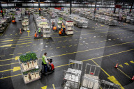 REPORTAGE - Blumen aus Holland: Royal FloraHolland in Aalsmeer