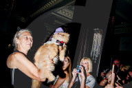 FEATURE - Katzen auf dem Catwalk in New York