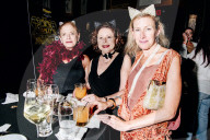 FEATURE - Katzen auf dem Catwalk in New York