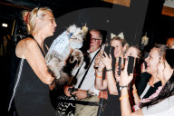 FEATURE - Katzen auf dem Catwalk in New York