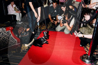 FEATURE - Katzen auf dem Catwalk in New York