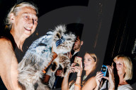 FEATURE - Katzen auf dem Catwalk in New York