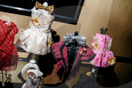 FEATURE - Katzen auf dem Catwalk in New York