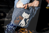FEATURE - Katzen auf dem Catwalk in New York
